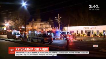 У США пожежники та волонтери винесли з охопленого полум'ям зоомагазину 86 песиків