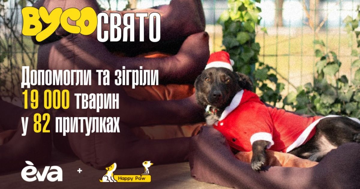 Як втілити мрію та подарувати тваринам тепло на свята. Результати “ВусоСвята” — благодійної ініціативи від мережі магазинів EVA та фонду Happy Paw