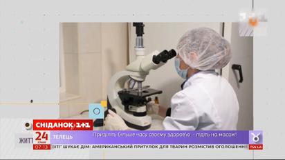 ЄС заборонив імпорт курятини з України через пташиний грип - Економічні новини