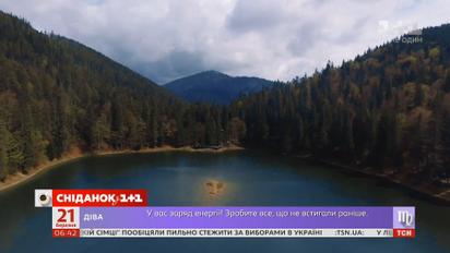 21 марта - Всемирный день защиты лесов