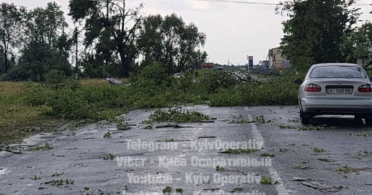 Негода на Київщині: в Баришівці викорчувало дерева, пообривало дроти та поваляло бігборди