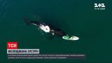 Новини світу: в Аргентині кит вирішив погратися із відпочивальницею у морі