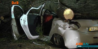 Величезний стовбур дерева розчавив авто у Києві: водій загинув на місці, пасажирку забрала швидка