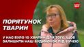 Четыре месяца в клетке: как украинские животные адаптируются за границей | Жить дальше