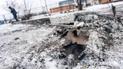 Загарбники знову атакували Сумську область