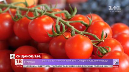 Чому в Україні здорожчали помідори