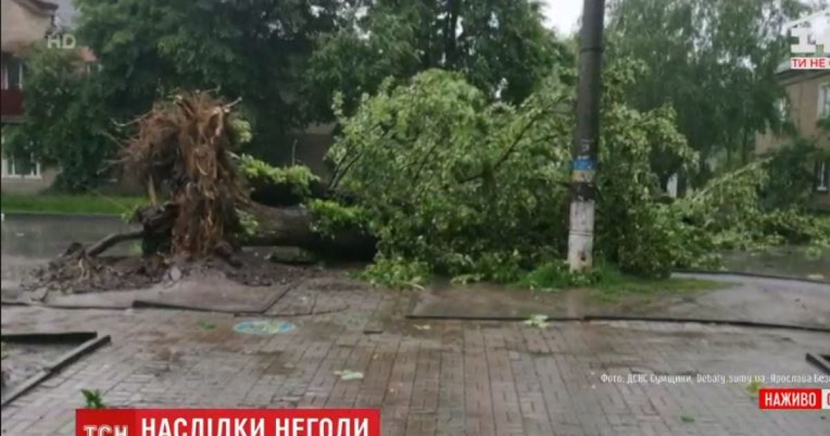 Выкорчевывал деревья и ломал металлические конструкции: в Сумах бушевал ураган