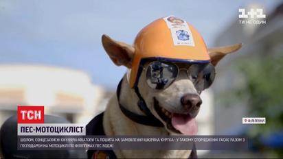 На Філіппінах популярним став собака, який їздить на мотоциклі разом зі своїм господарем