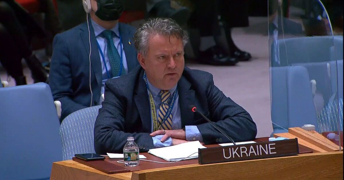 Постоянный представитель Украины при ООН Сергей Кислица