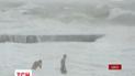 Море по колено: в Одессе двое экстремалов купались во время шторма