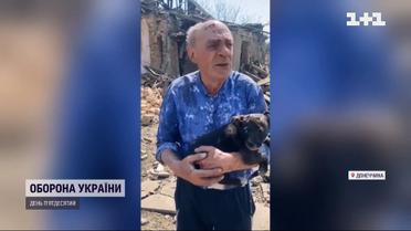 ДСНС показала відео порятунку цуценяти з-під завалів на Донеччині