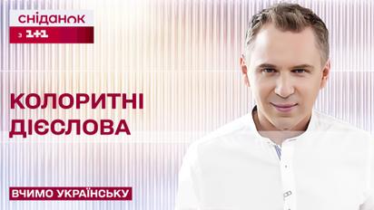 Які бувають колоритні дієслова та як їх правильно використовувати – Вчимо українську