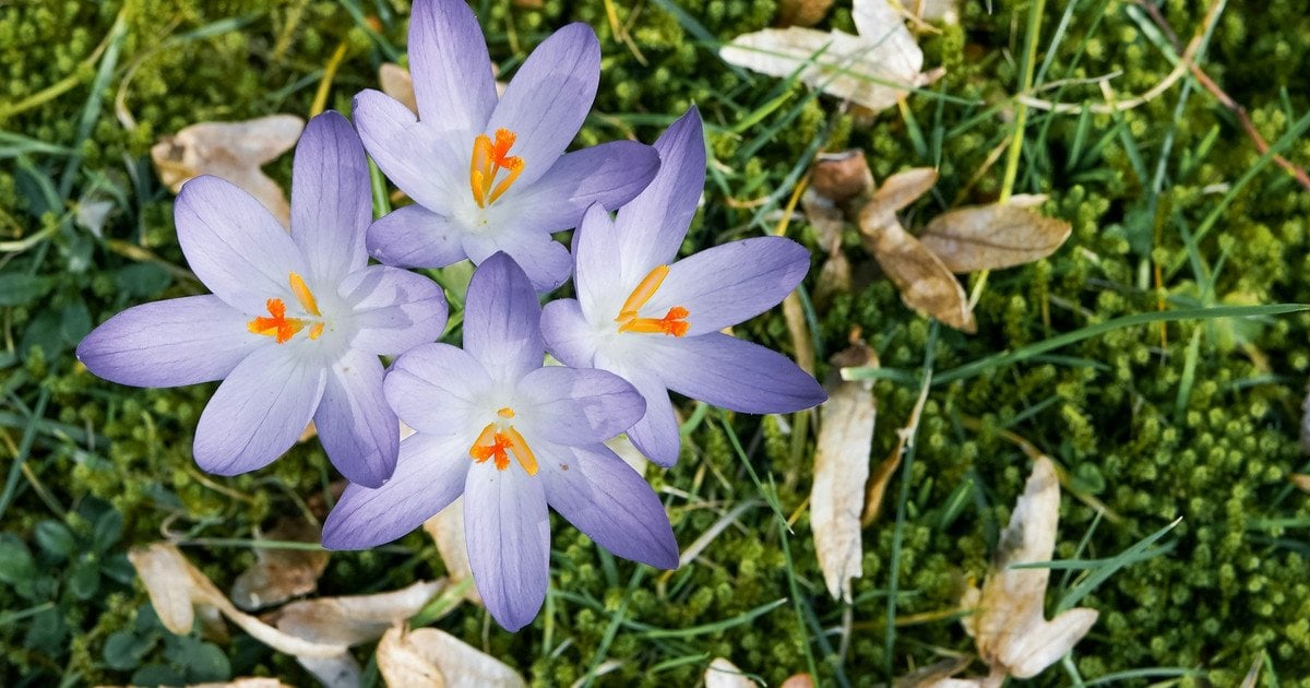 Який сьогодні, 7 березня, день ангела