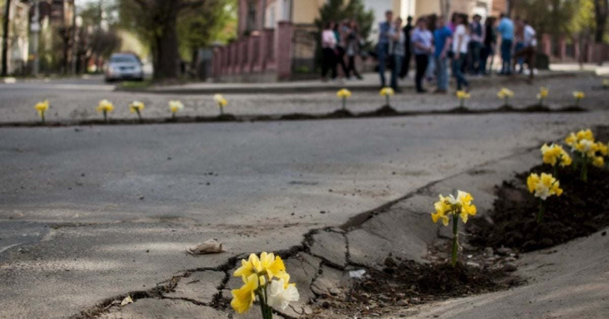 Клумбы вместо ям. В Черновцах борются с ухабами на дорогах цветами