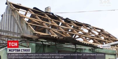 Новини України: на Донбасі через потужний буревій загинуло двоє людей