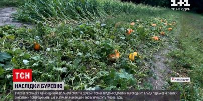 Новости Украины: селяне из Ровенской области оправляются от страшного урагана