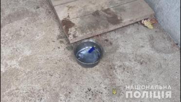 вбивство дитини на Одещині_1 / © ГУ НП в Одеській області