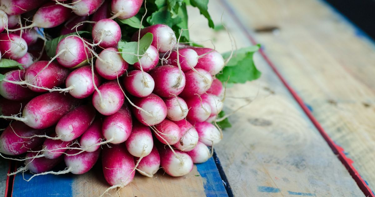 Когда сеять редис на осень