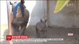 В израильском сафари-парке показали малыша носорога