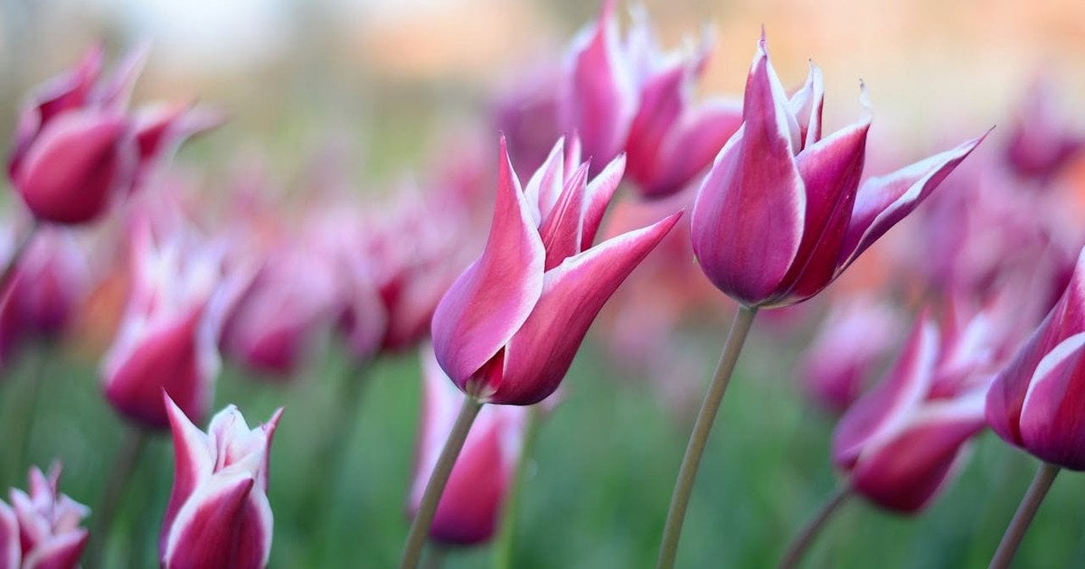 Який сьогодні, 23 березня, день ангела