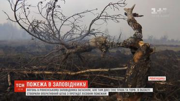 Через пожежу у природному заповіднику на Рівненщині створено оперативний штаб
