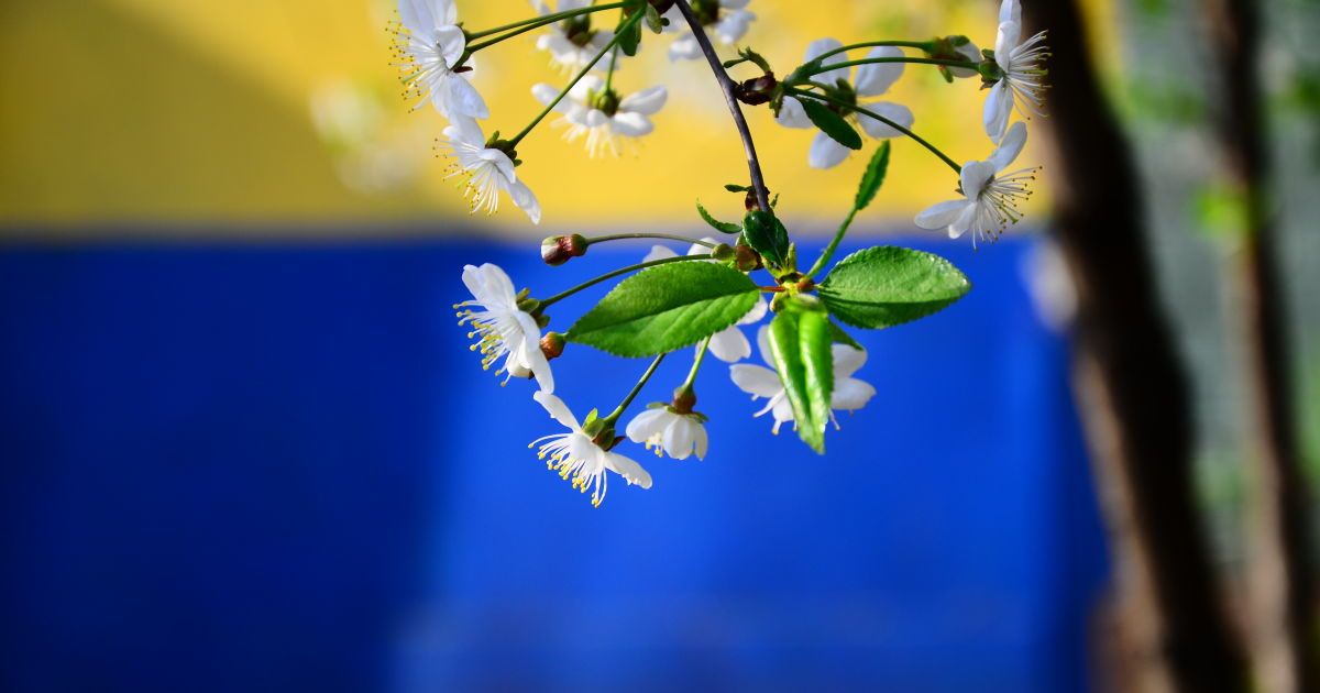 Украину затянет дождями с грозами, но будет тепло