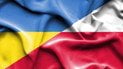 Польща готова обговорити передавання МіГ-29 Україні: названо головну умову