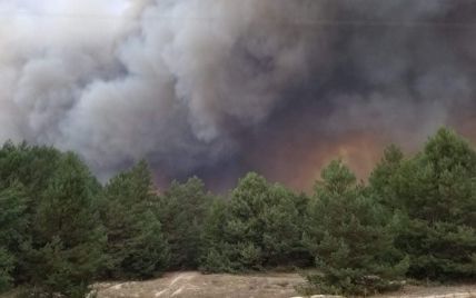 У Київській області спалахнув ліс на військовому полігоні