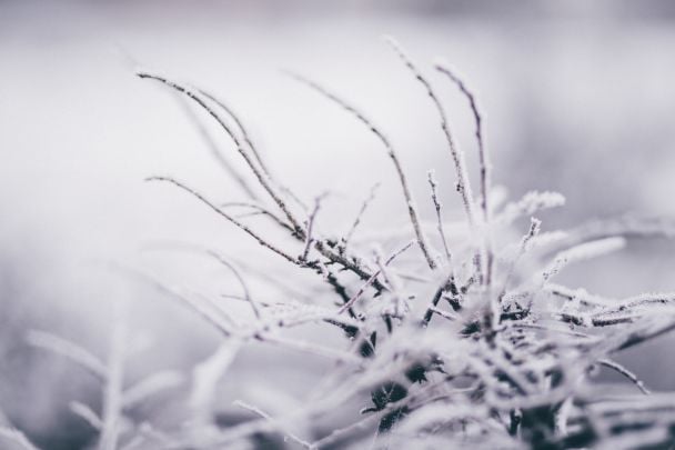Народні прикмети 31 січня / © Pexels