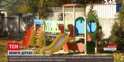 Новости Украины: падение дерева - подробности гибели ребенка в Полтавской области