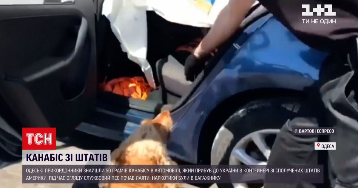 Новини України: в Одесі знайшли американський канабіс у привезеному авто
