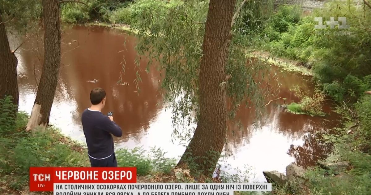 Красная вода и ожоги на руках: в Киеве озеро внезапно превратилось в токсичное