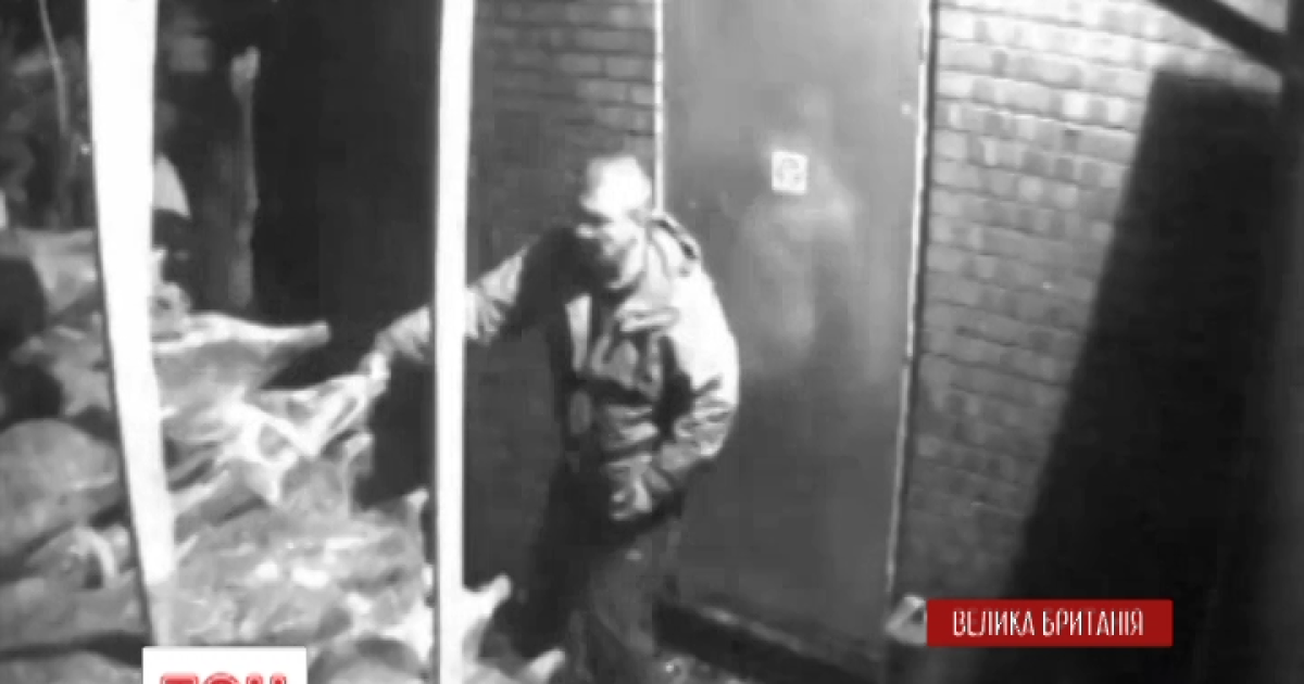 У США розшукають грабіжників, які викрали з магазину кілька сотень ялинок