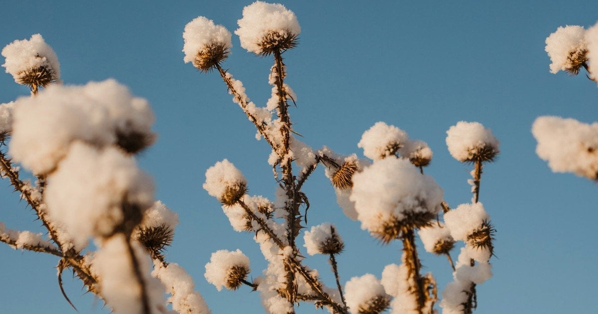 Який сьогодні, 2 грудня, день ангела