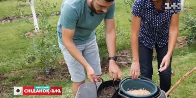 Как правильно посадить и обрезать кусты голубики – Сніданок на даче