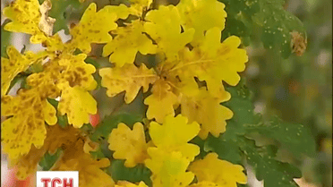 Після нетипової для вересня спеки Україну заскочив грозовий фронт
