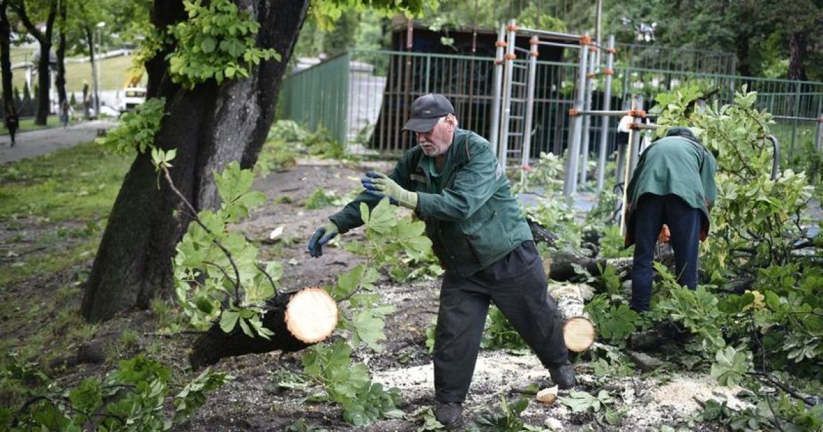 Повалені дерева, пошкоджені будинки та підтоплені вулиці: у Львові ліквідовують наслідки сильної негоди