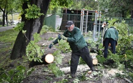 Сваленные деревья, поврежденные дома и подтопленные улицы: во Львове ликвидируют последствия сильной непогоды