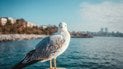 Який день ангела 6 вересня