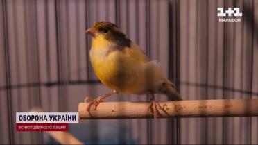 Невероятно! Кто живет в аквариуме у Буданова? Руководитель ГУР показал своих животных!