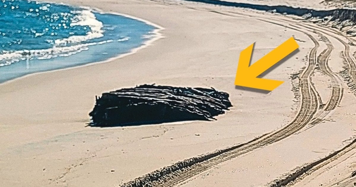 Уламки корабля. Фото: Island Beach State Park