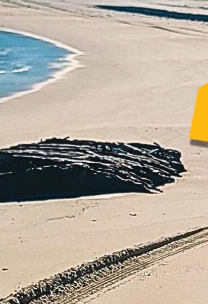Уламки корабля. Фото: Island Beach State Park
