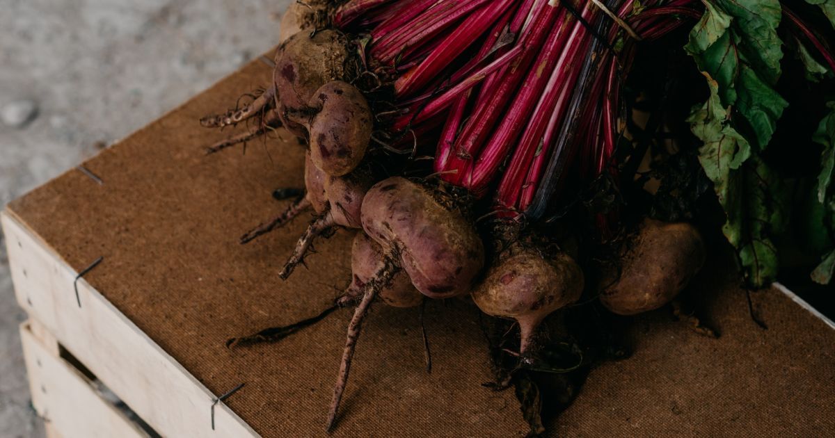 Как подкормить свеклу весной?
