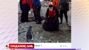 Актуальный интернет. О чем патриарх Кирилл общался с пингвинами