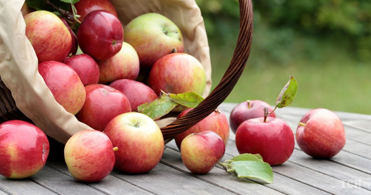 Гороскоп на 7 октября для всех знаков Зодиака