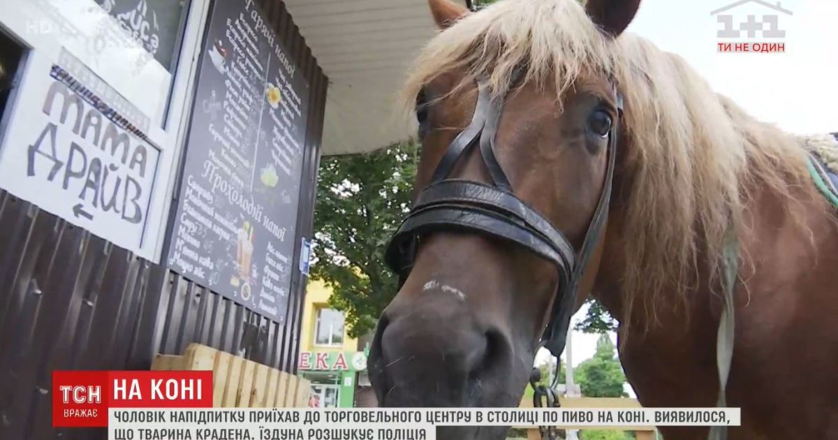 Вершник у магазині у Києві: чоловік силою відібрав коня у власника