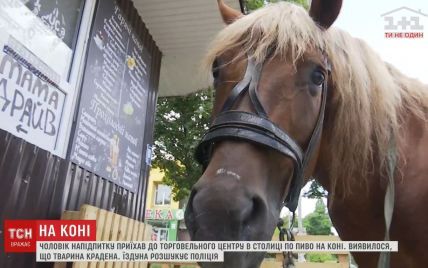 Вершник у магазині у Києві: чоловік силою відібрав коня у власника