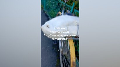 На Львовщине фермер напал и избил женщину из-за мешка кукурузы - соцсети (видео)