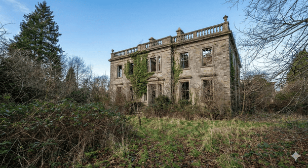 Стоїть закинутим вже 30 років: моторошна історія особняка, який ніхто не наважується купити