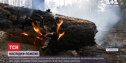 Внаслідок масштабної пожежі у Харківській області вигоріли 22 хати